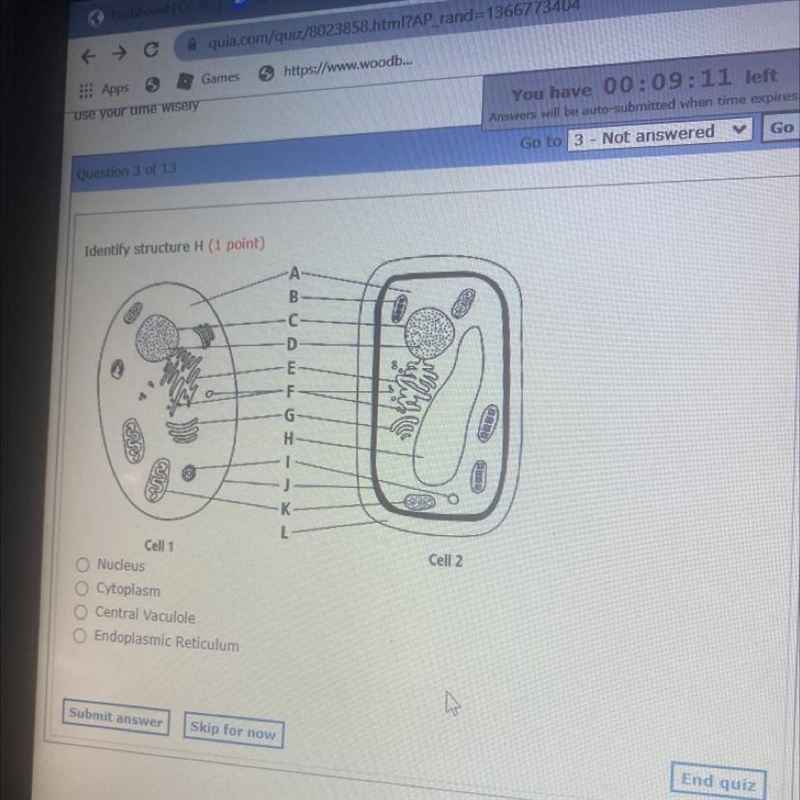 Identify structure H (1 point) מ ס ס ס וח nou F -G H 1 -K L Cell 2 Cell 1 Nucleus-example-1