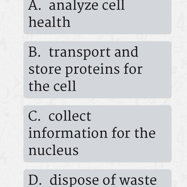 The Endoplasmic Reticulum ( ER ) was represented by string cheese in the Cell Pizza-example-1