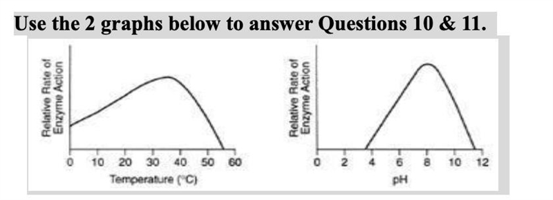 What is the optimal pH that this enzyme functions at? And What is the optimal temperature-example-1