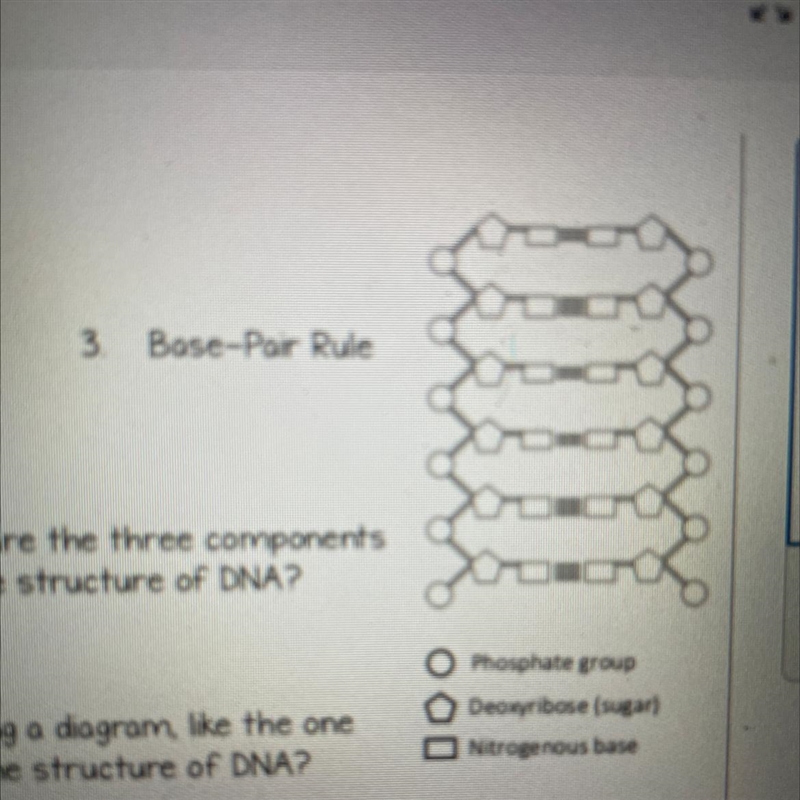 According to the diagram how are the three components of a nucleotide important to-example-1