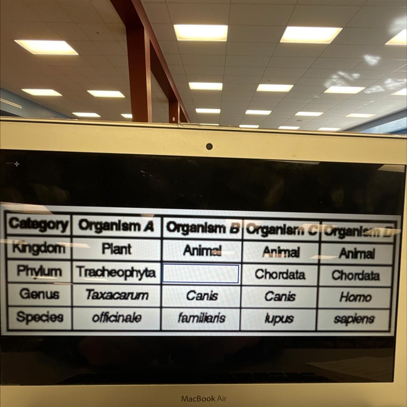 This table is simplified. It is missing a few taxa. What levels are missing and where-example-1