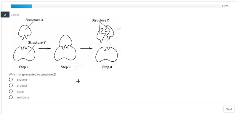 Which is represented by structure Z?-example-1