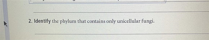 Can somebody help me with thispls!!-example-1