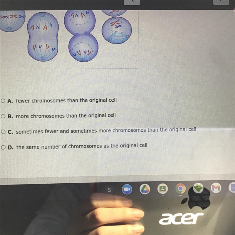 When a cell goes through mitosis and cell division, the two new cells have _?-example-1