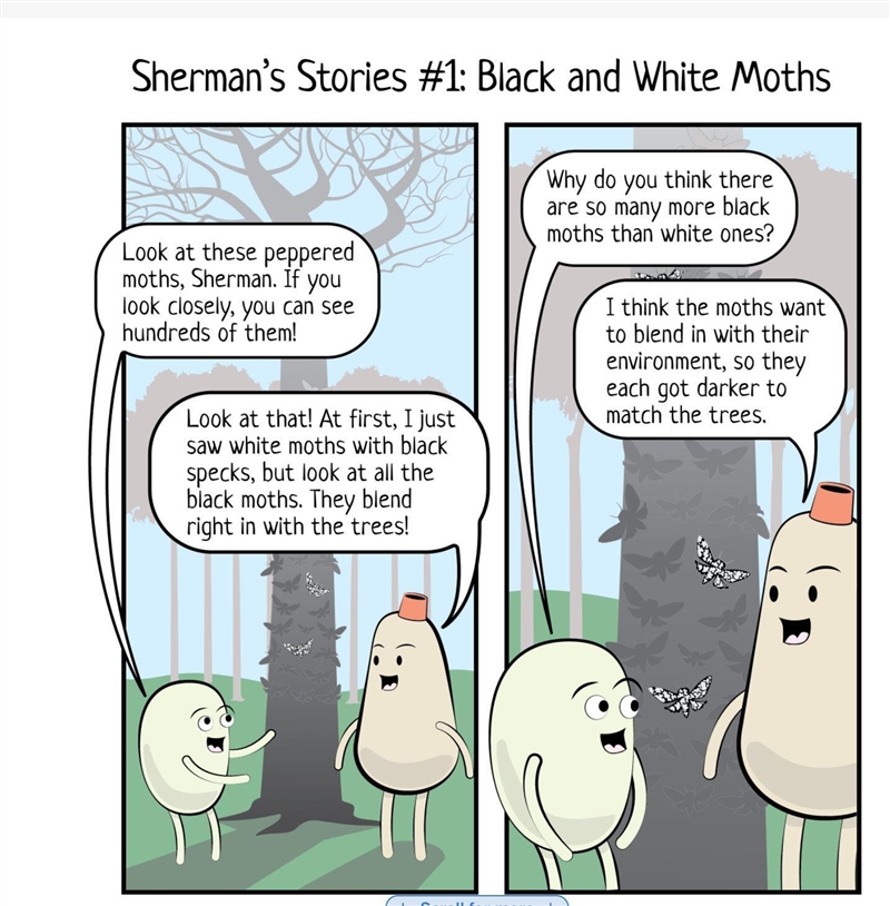 Actually, Sherman, there are more black moths than white ones because . . .-example-1