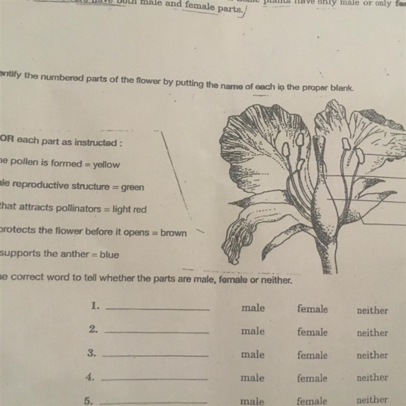 Tell me what numbers to color and Label the parts if weather their female or male-example-1