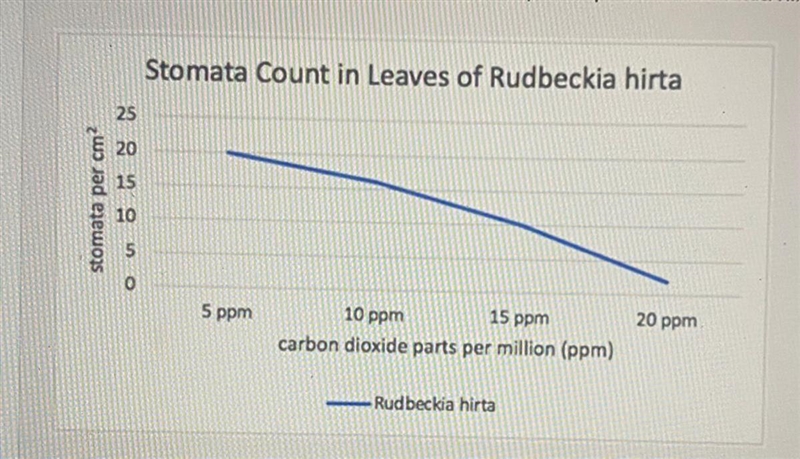 The graph below shows the stomata counts of plant species Rudbeckia hirta, also known-example-1