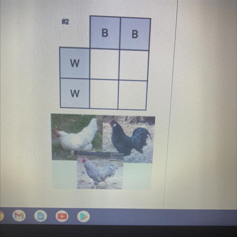 What pattern of inheritance is represented punnet square-example-1