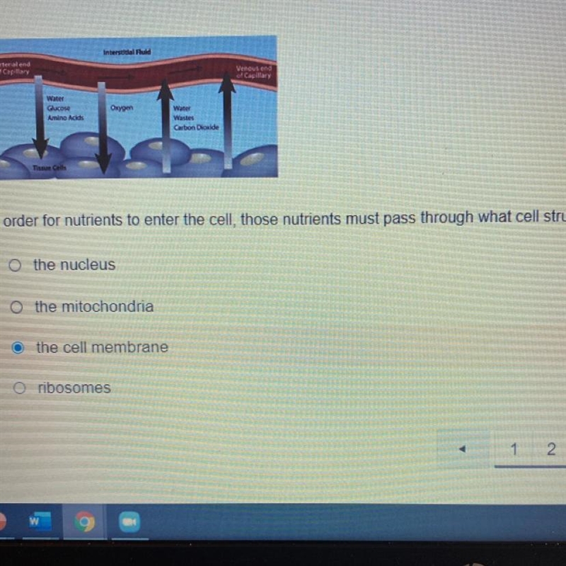 In order for nutrients to enter the cell, those nutrients must pass through what cell-example-1