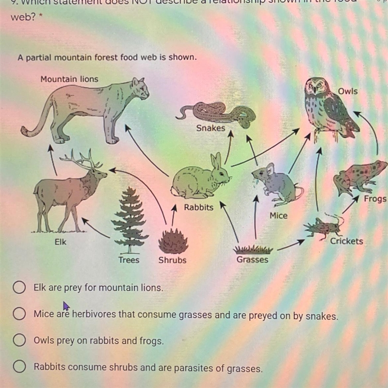 Which statement does NOT describe a relationship show in food web?-example-1