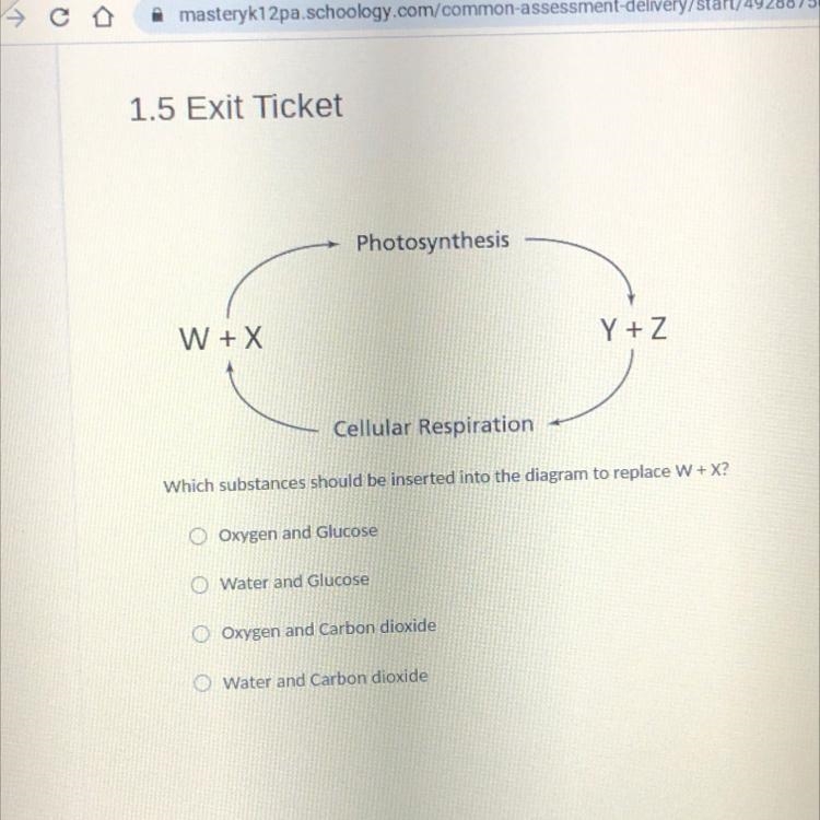 Which substances should be inserted into the diagram to replace W+X? A , B , C or-example-1