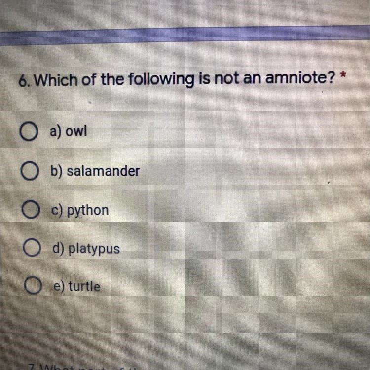 Which of the following is not an amniote?-example-1