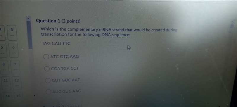 Please Help!!! Will give points to best answer Which is the complimentary mRNA strand-example-1