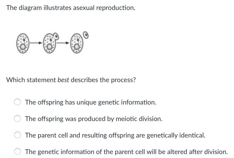 The diagram illustrates asexual reproduction. Which statement best describes the process-example-1