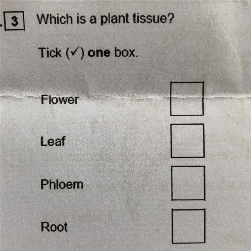 HELP!!!!! which is a plant tissue???-example-1