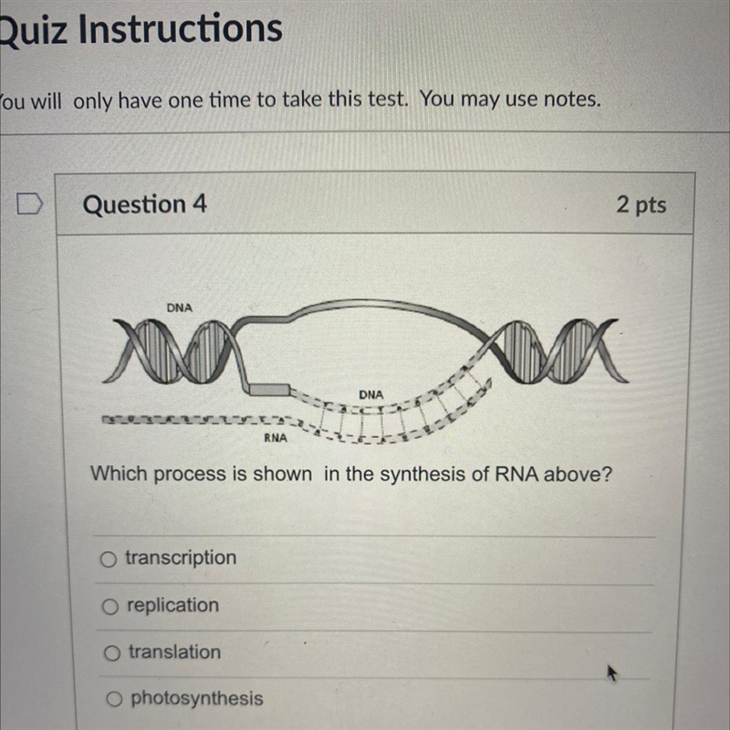 What process is shown in the synthesis of RNA above A. Transcription B. Replication-example-1