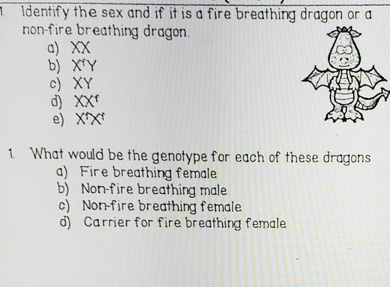 Genetics: pls help! In dragons, fire breathing is a sex linked (x- linked) trait. Fire-example-1