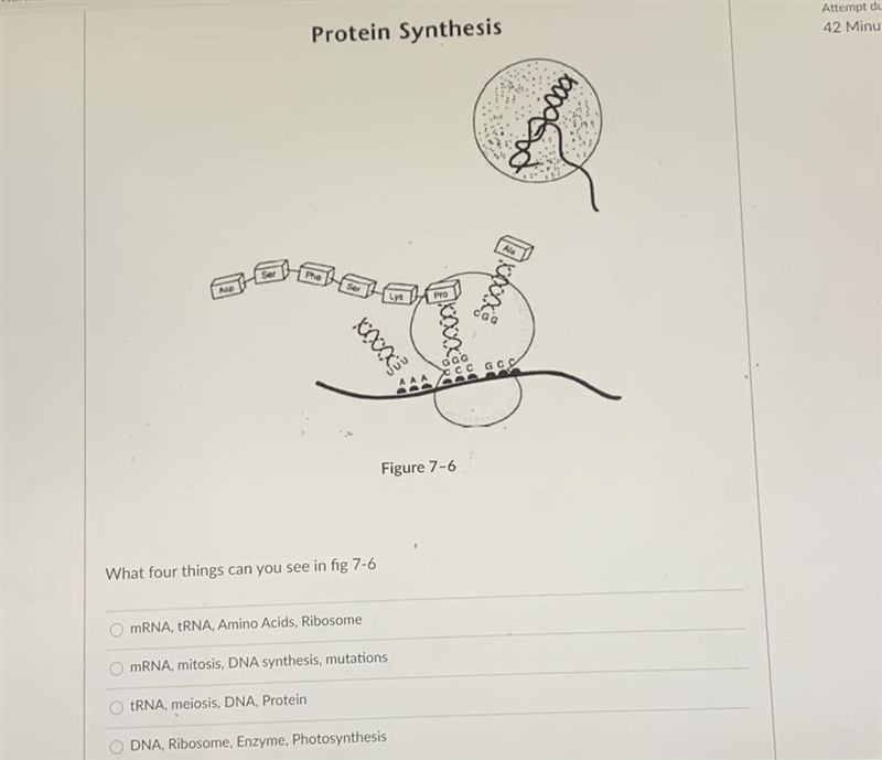 Help please!!!!! i need help!!-example-1