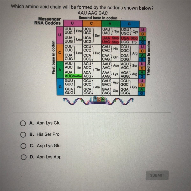 Question 7 of 10 Ser UUALCG Which amino acid chain will be formed by the codons shown-example-1