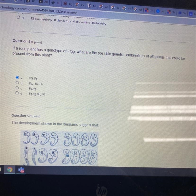 Question If a rose plant has a genotype of Ffgg, what are the possible genetic combinations-example-1