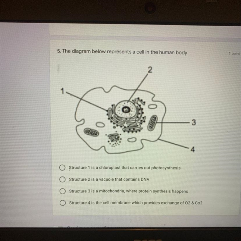 Someone please help I took the picture this is my last question on my homework-example-1