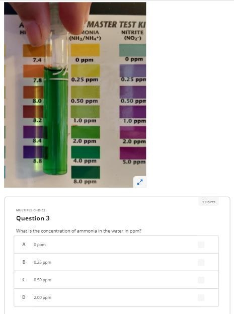 I am colorblind someone please help me with this :,)-example-3