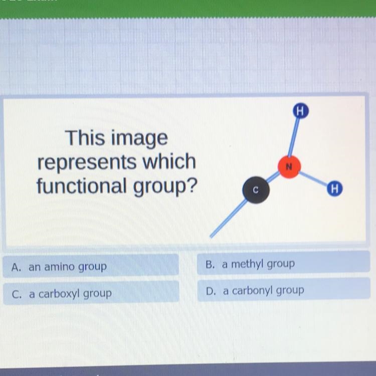 Please help A. Amino group B. Methyl group C. Carboxyl group D. Carbonyl group-example-1