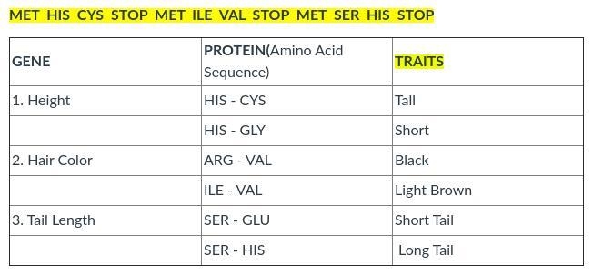 Let's say that the monkey's Amino Acid sequence was the following. Use the amino acid-example-1