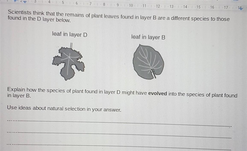 How to do this question plz ​-example-1