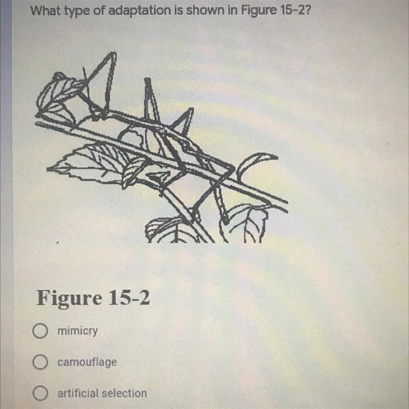 What type of adaptation is shown in Figure 15-2? A. mimicry B. camouttage C. artificial-example-1