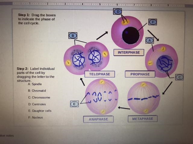 I’m pretty sure this is right, but could someone check it for me?-example-1