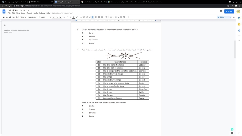 I NEED HELP WILL GIVE CROWN FOR TWO CORRECT ANSWERED QUESTIONS-example-1