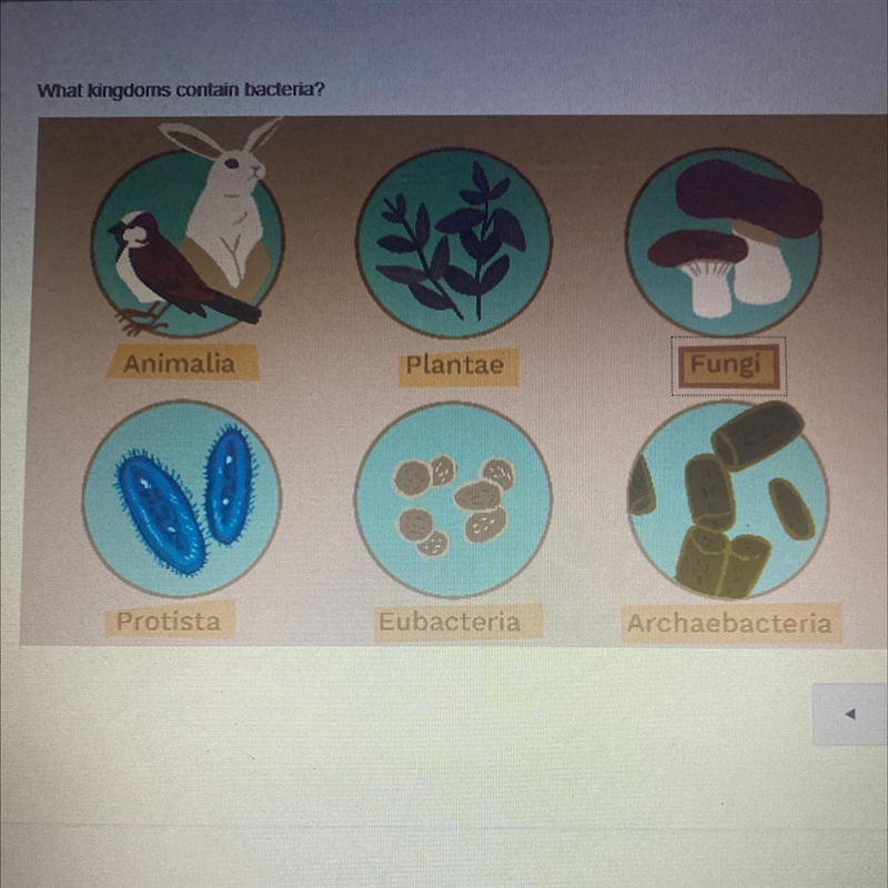 What kingdoms contain bacteria? Which ones out of this??-example-1