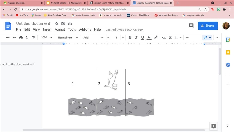 Explain, using natural selection, how the mice population will adapt over time.-example-1