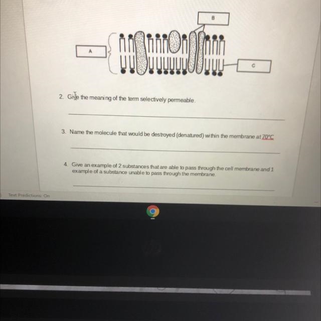 3. Name the molecule that would be destroyed (denatured) within the membrane at 70°C-example-1