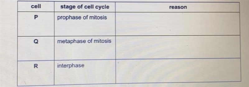 Help please answer these questions and give the reasoning-example-1