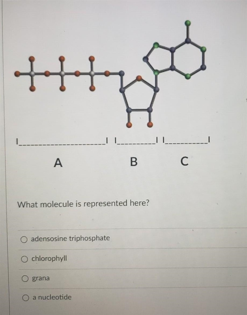 What molecule is represented here?​-example-1