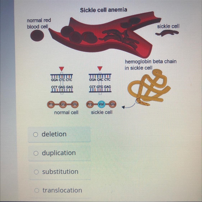 select the correct answer sickle cells ￼ disease is a here￼ditary mutation that causes-example-1