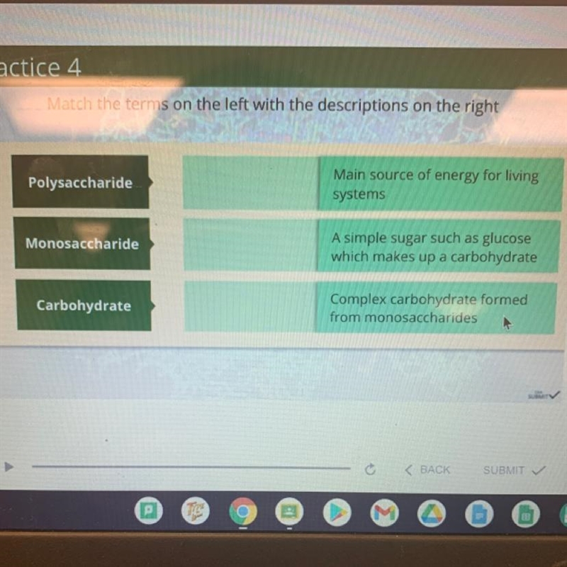 Match the term on the left with descriptions on the right-example-1