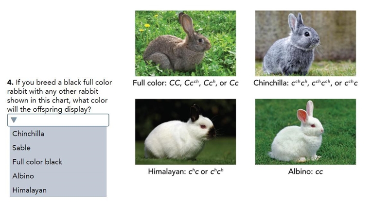 HELP PLEASE ITS DOMINANT AND RECESSIVE TRAITS-example-1