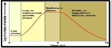 The generation time for E. coli cultured under ideal condition is 20 minutes. If E-example-1