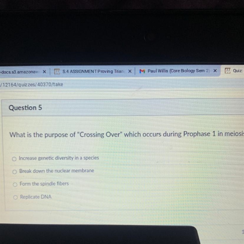 What is the purpose of "Crossing Over" which occurs during Prophase 1 in-example-1