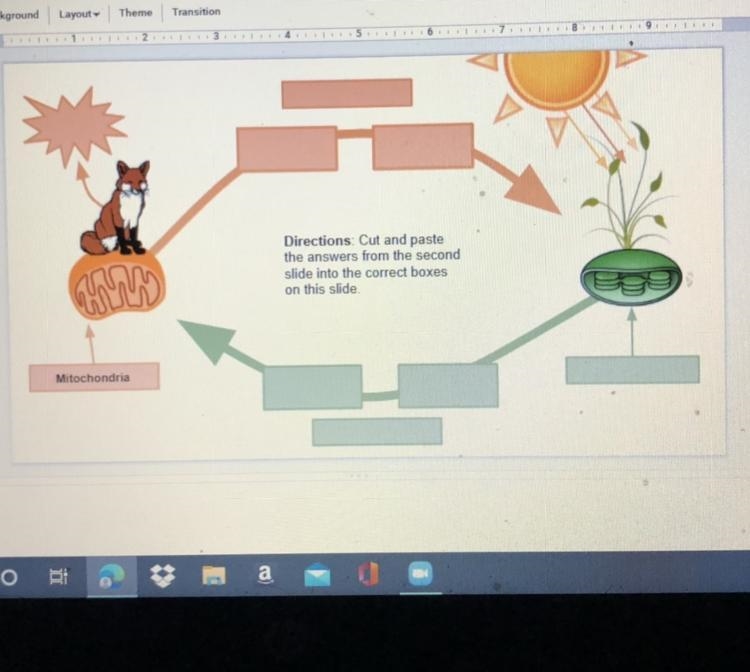 FILL IN THE BLANK -mitochondria -Cellular respiration -chloroplast -Sun -photosynthesis-example-1