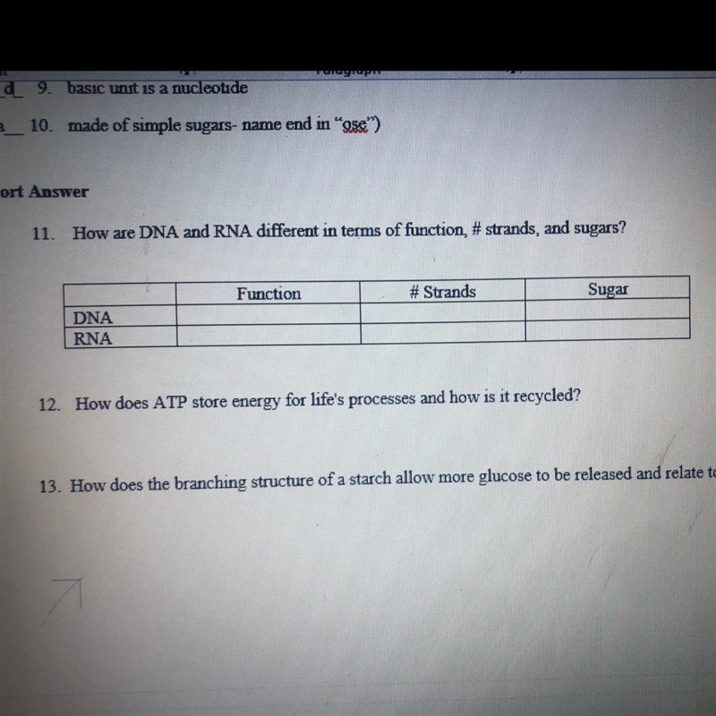 How are DNA and RNA different in terms of function, #strands, and sugars-example-1