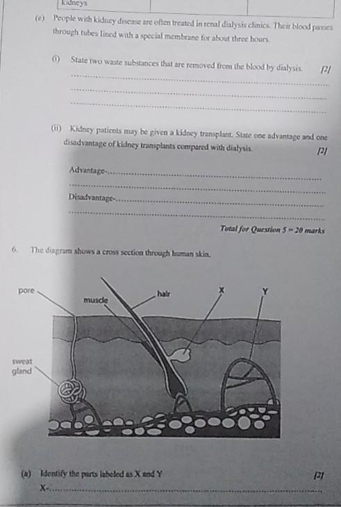 Help with this question 20pts ​-example-1