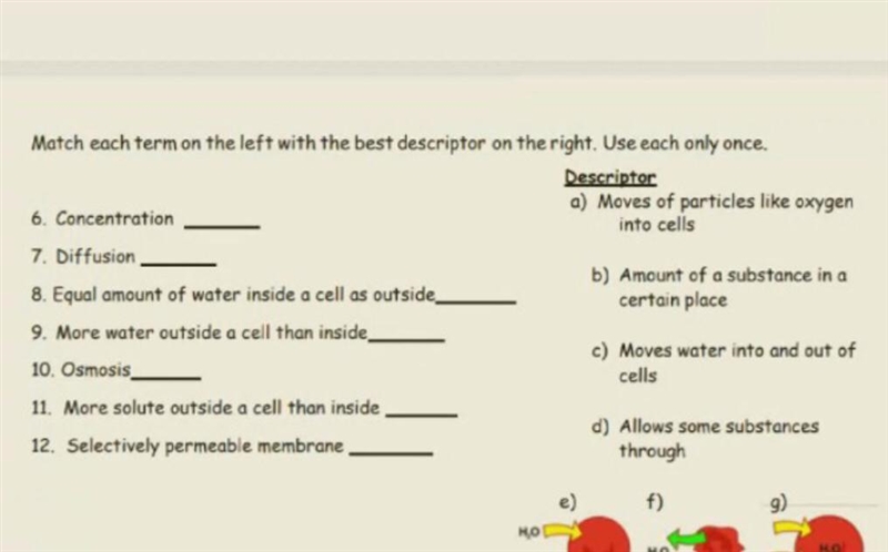 I need help with these questions, please help-example-1