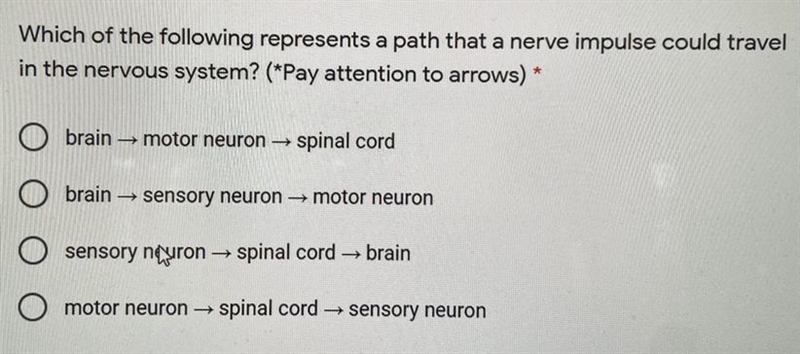 Which of the following represents a path that a nerve impulse could travel in the-example-1