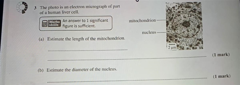 How do I work this question out I’m struggling-example-1