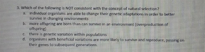 Pls help fast I need to turn this in for Hw​-example-1