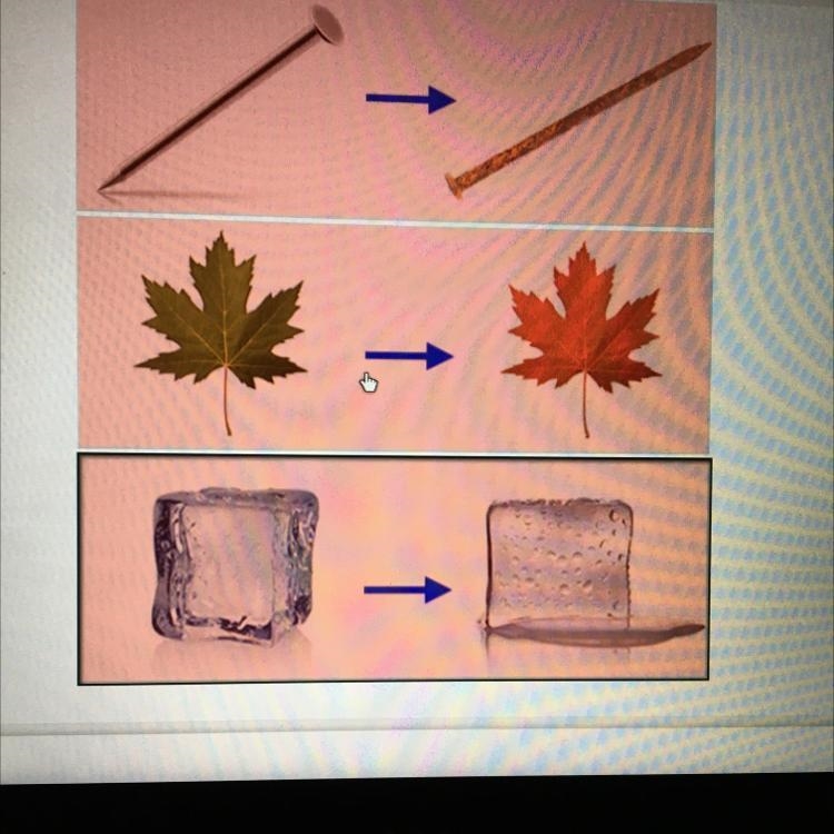 Select the correct image. Which image represents a physical change?-example-1